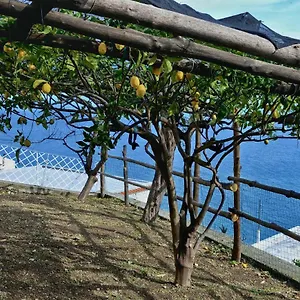 Chez Amelie Holiday home Amalfi